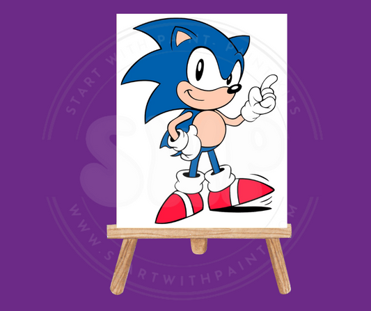 Sonic Paint Kit (